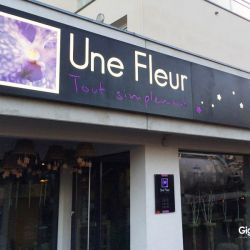 une fleur tout simplement-ffe8b2